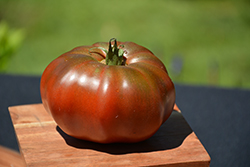 Black Krim Tomato (Solanum lycopersicum 'Black Krim') at Creekside Home & Garden